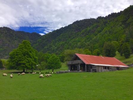 alen-malal-kitralma