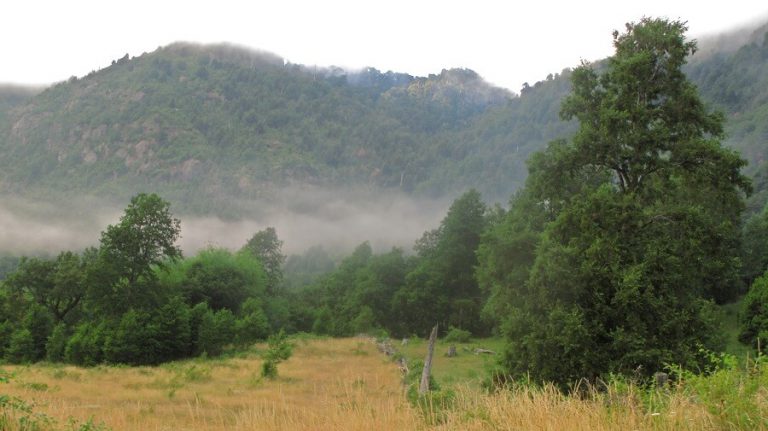 Montaña de Búsqueda de Visión