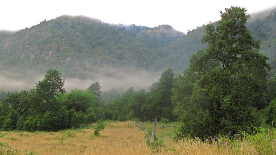 Montaña de Búsqueda de Visión