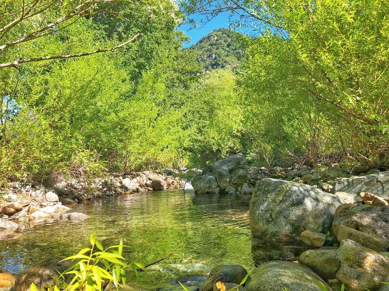 rio-huirilil-kitralma